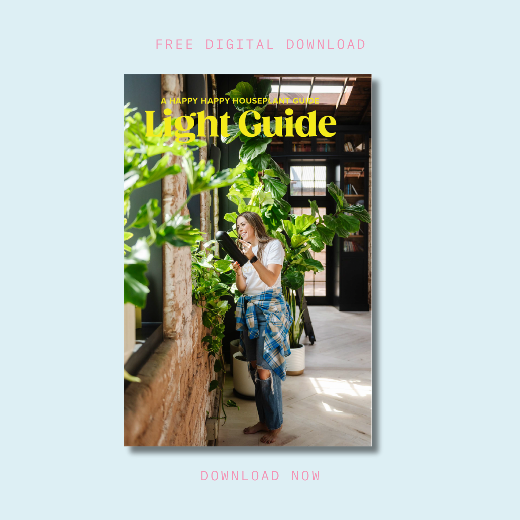 Indoor Light Guide | Free Download