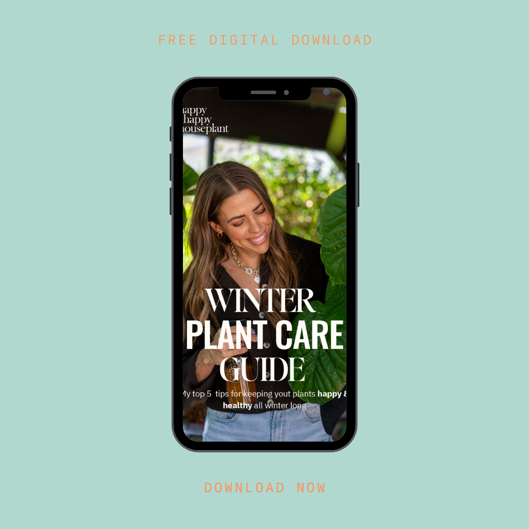 Winter Plant Care Guide | Free Download