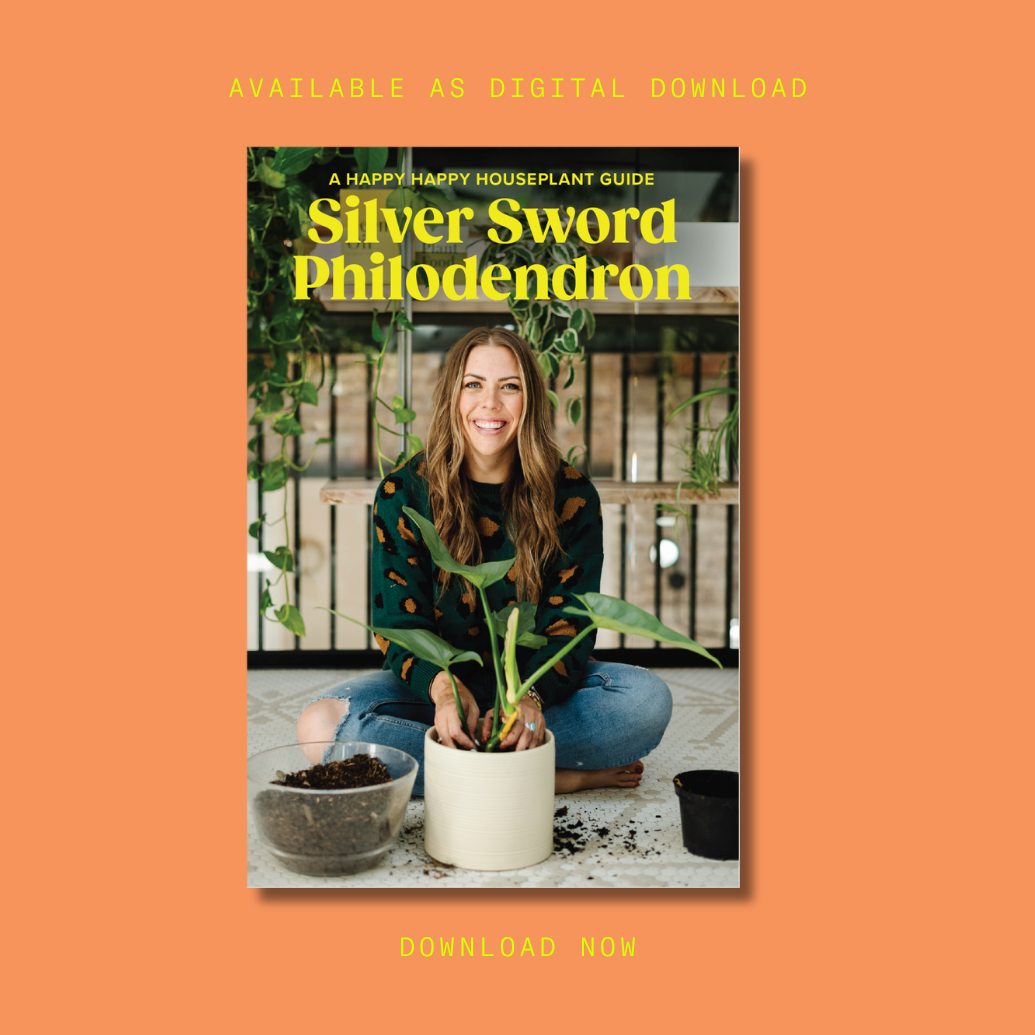 Silver Sword Philodendron Digital Care Guide