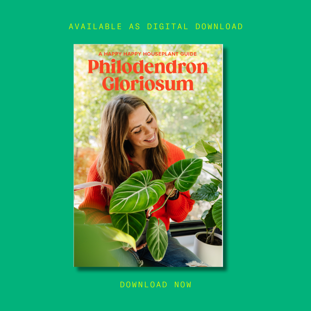 Philodendron Gloriosum Digital Care Guide