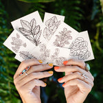 Happy Plant Tats Temporary Tattoos - Happy Happy Houseplant