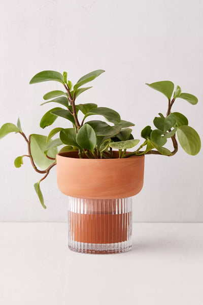 Fluted Self Watering Planter