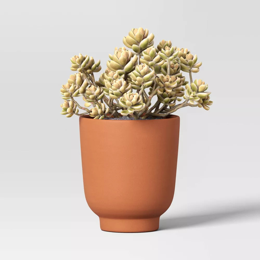 $3 Small Terracotta Planter