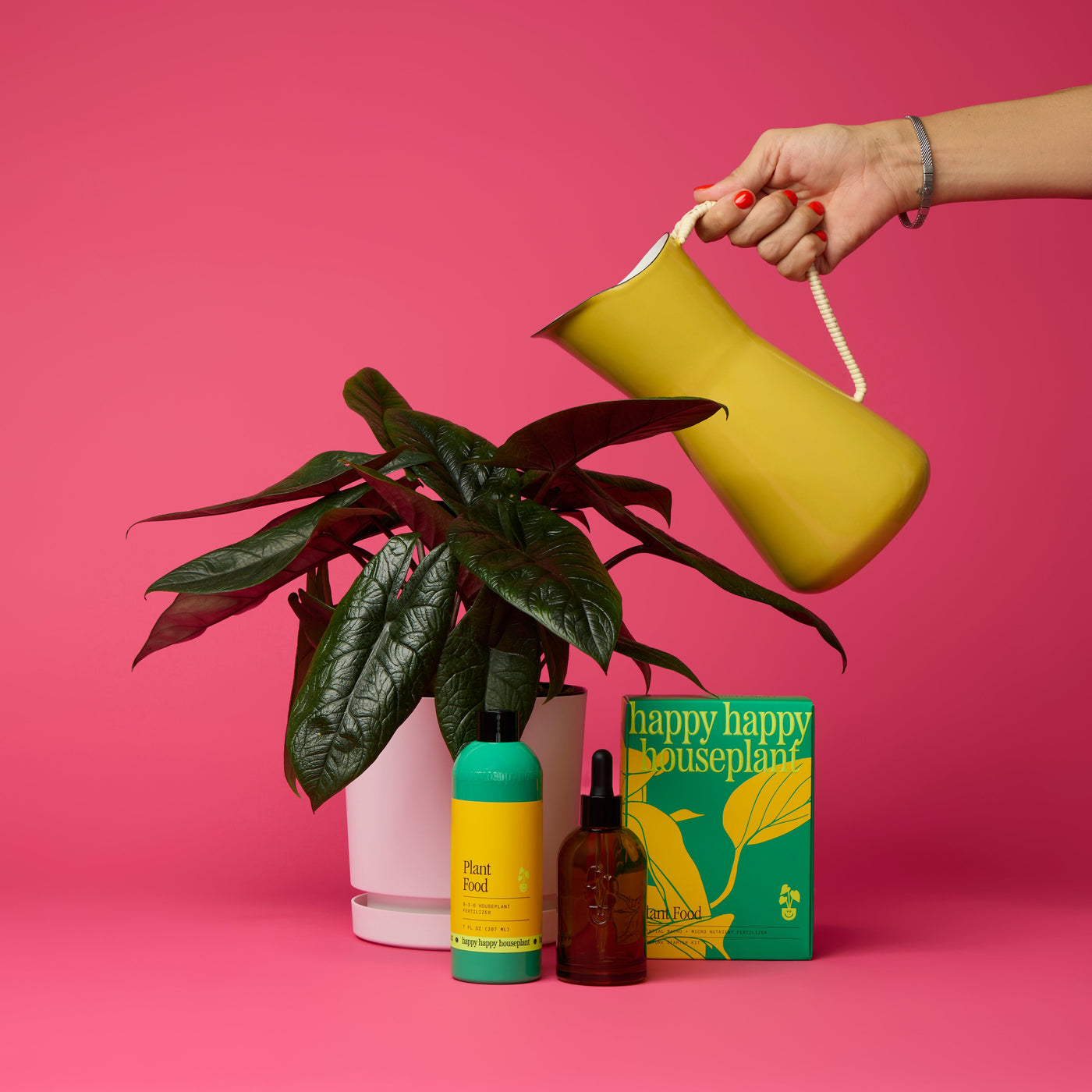 Plant Care | Happy Happy Houseplant
