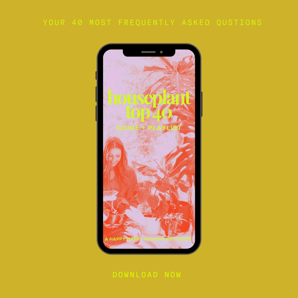 Houseplant Top 40 Guide + Playlist