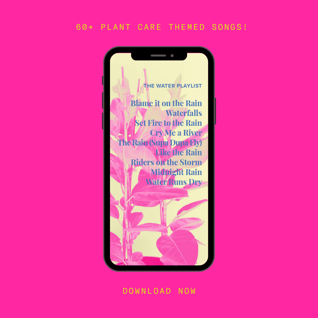 Houseplant Top 40 Guide + Playlist