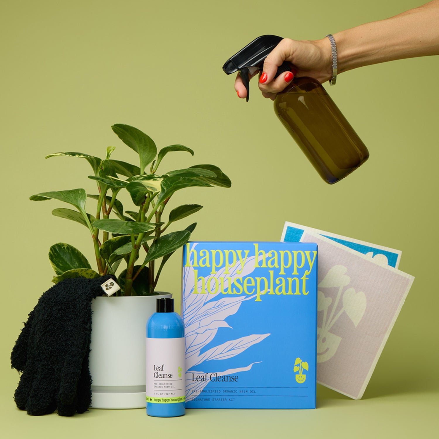 Leaf Cleanse