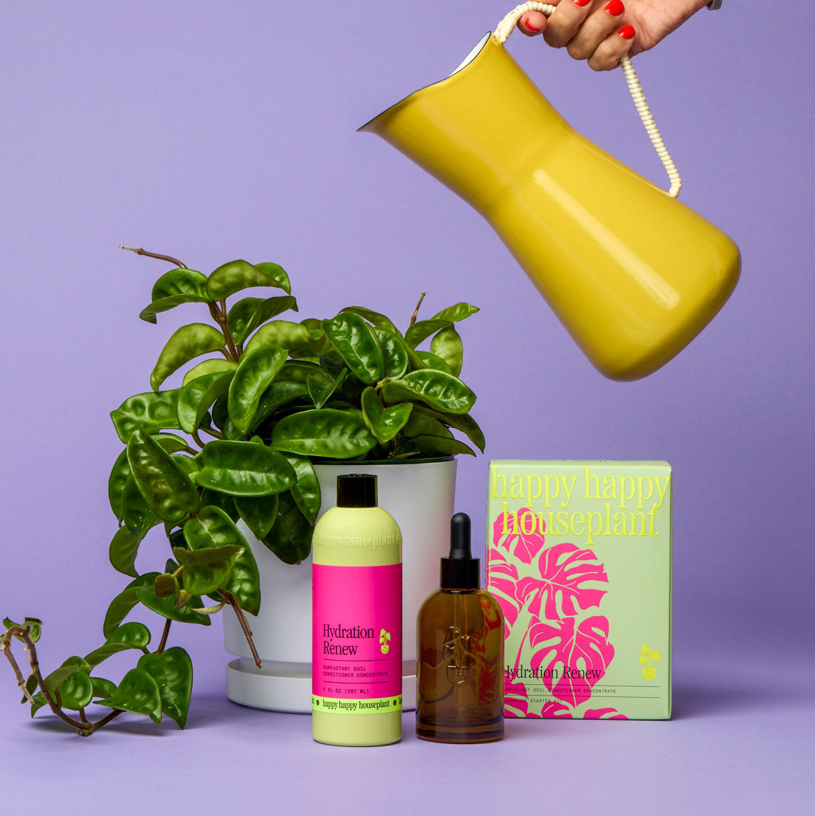 hydrophobic soil indoor plants Hydration Renew