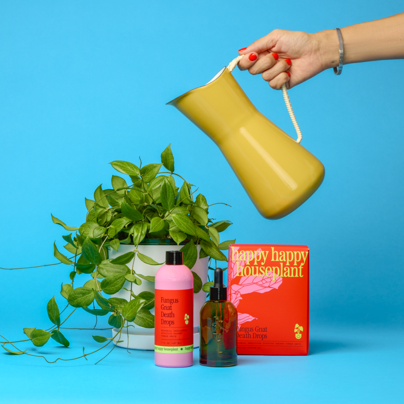 gnat repellent indoor plants Fungus Gnat Death Drops