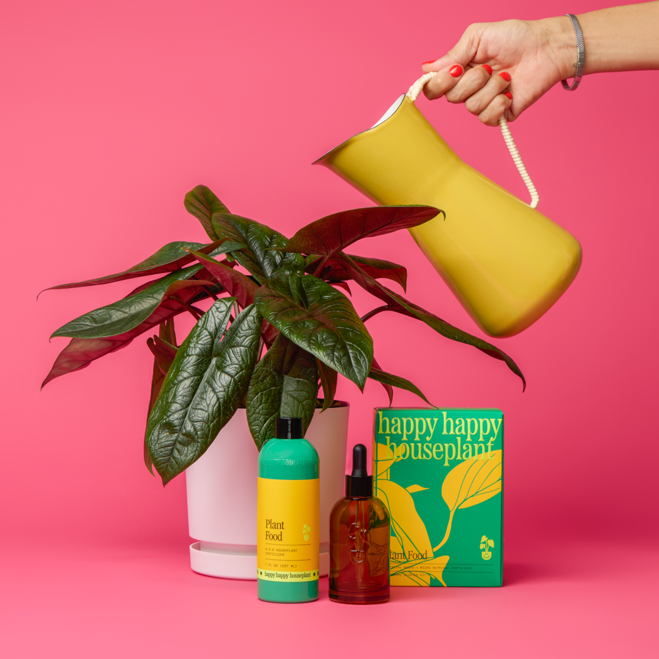 tropical house plant food Plant Food Starter Kit