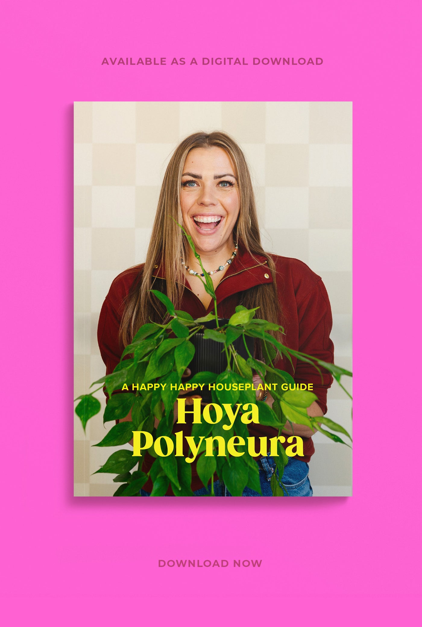 Hoya Polyneura Digital Care Guide