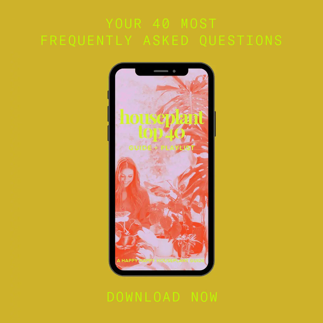 Happy Happy Houseplant Houseplant Top 40 FAQ guide and playlist, free digital download, shown on a phone screen