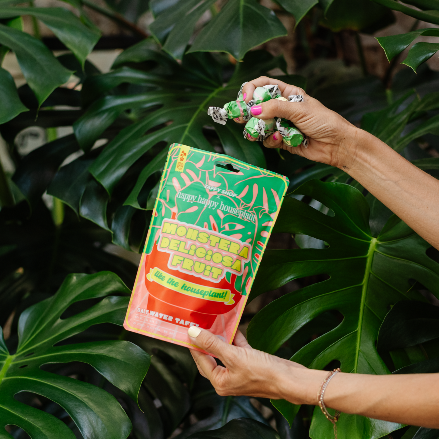 Monstera Deliciosa Fruit Salt Water Taffy