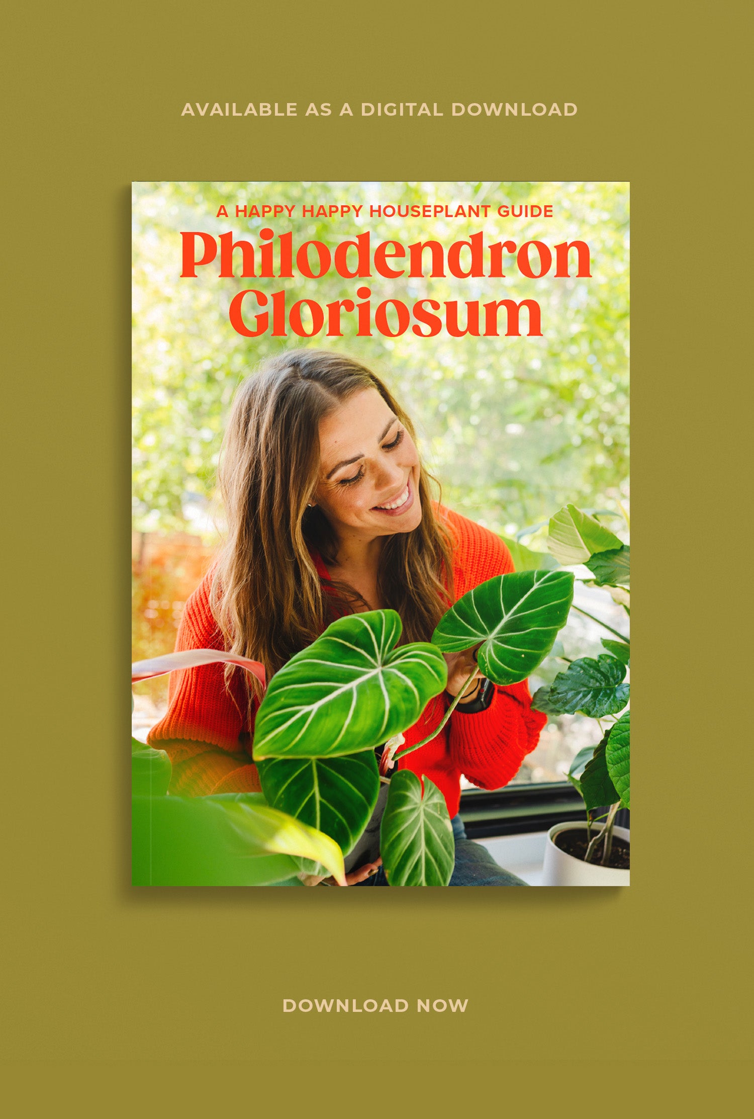Philodendron Gloriosum Digital Care Guide Happy Happy Houseplant
