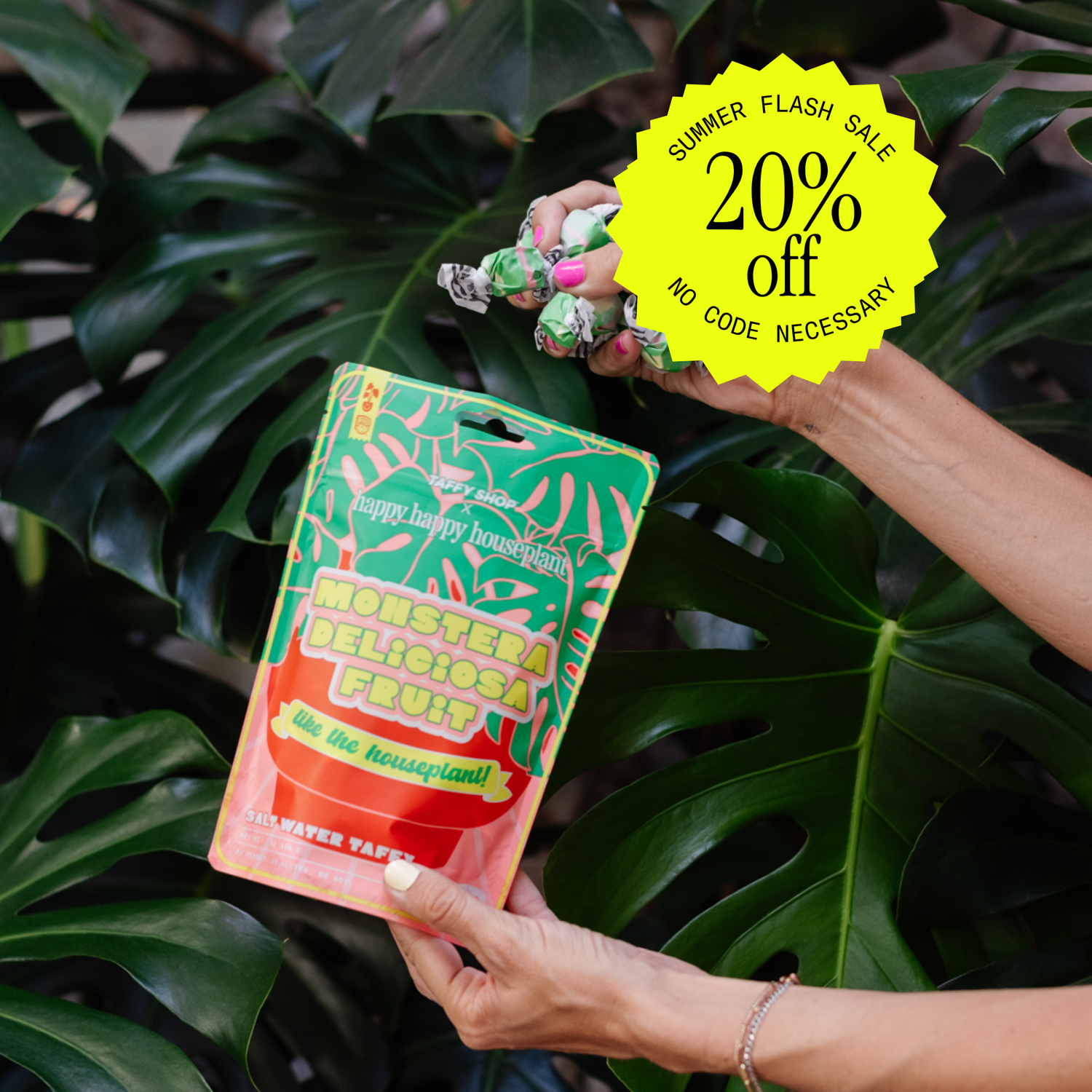 Monstera Deliciosa Fruit Salt Water Taffy