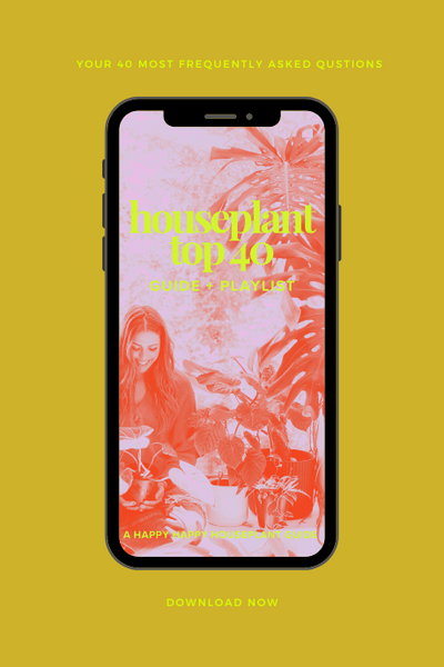 Happy Houseplant Essentials Bundle