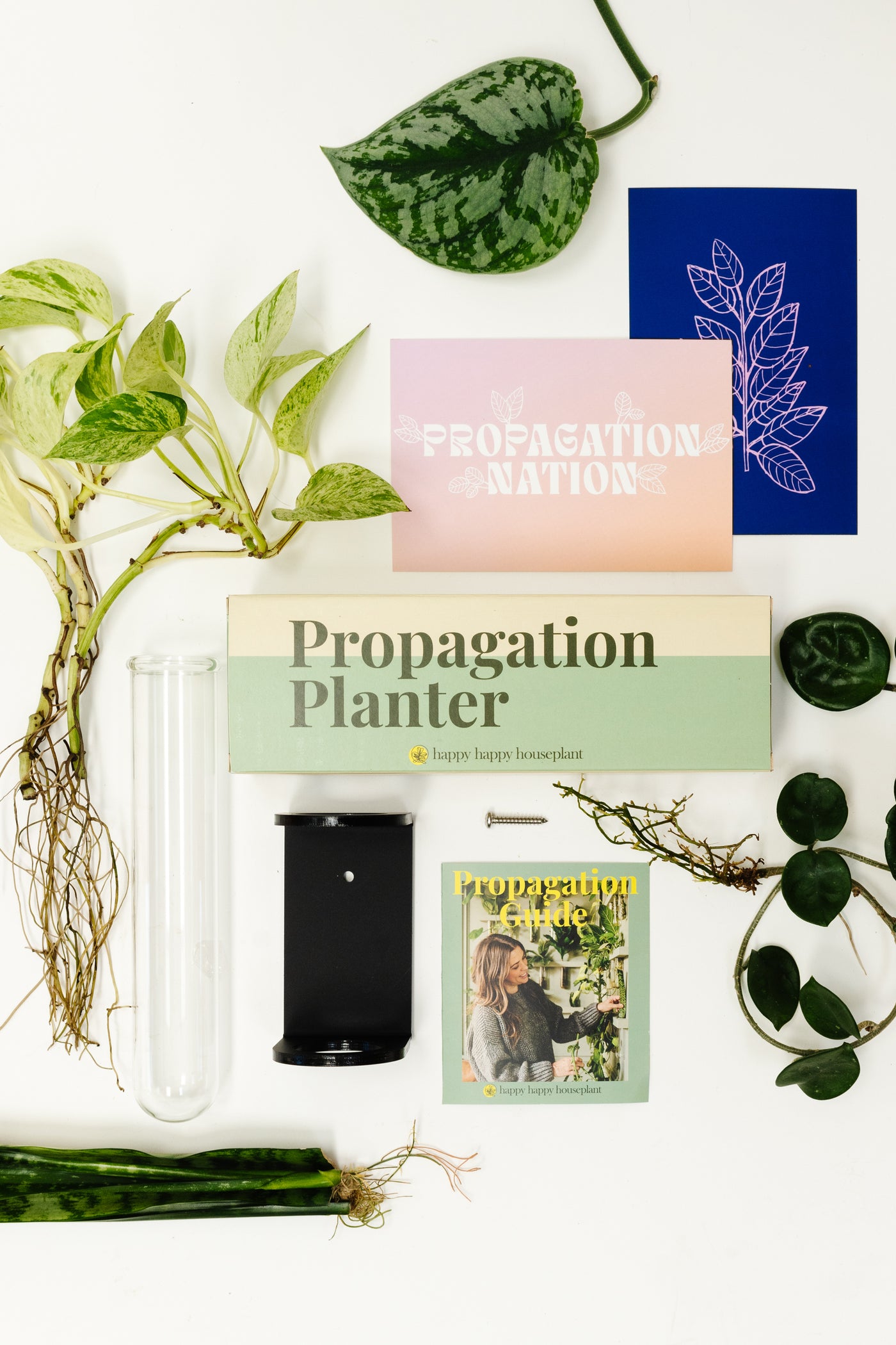 Essential Propagation Planter - Happy Happy Houseplant