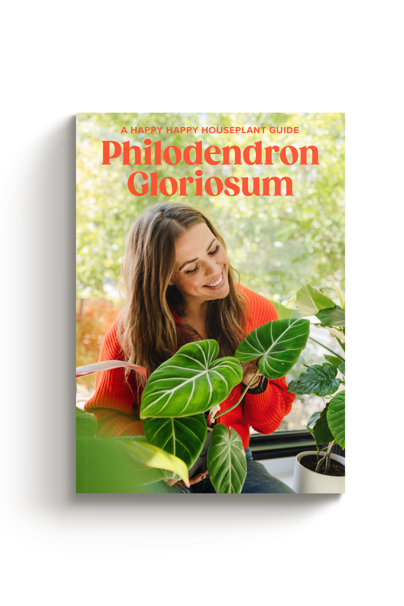 Gloriosum Surprise Plant Society Bundle - Happy Happy Houseplant