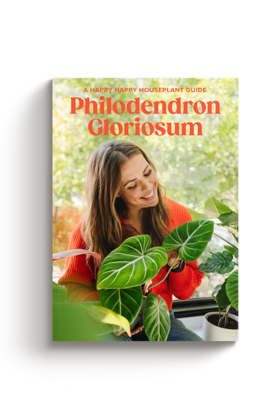 Gloriosum Surprise Plant Society Bundle - Happy Happy Houseplant