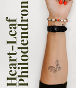 Happy Plant Tats Temporary Tattoos - Happy Happy Houseplant