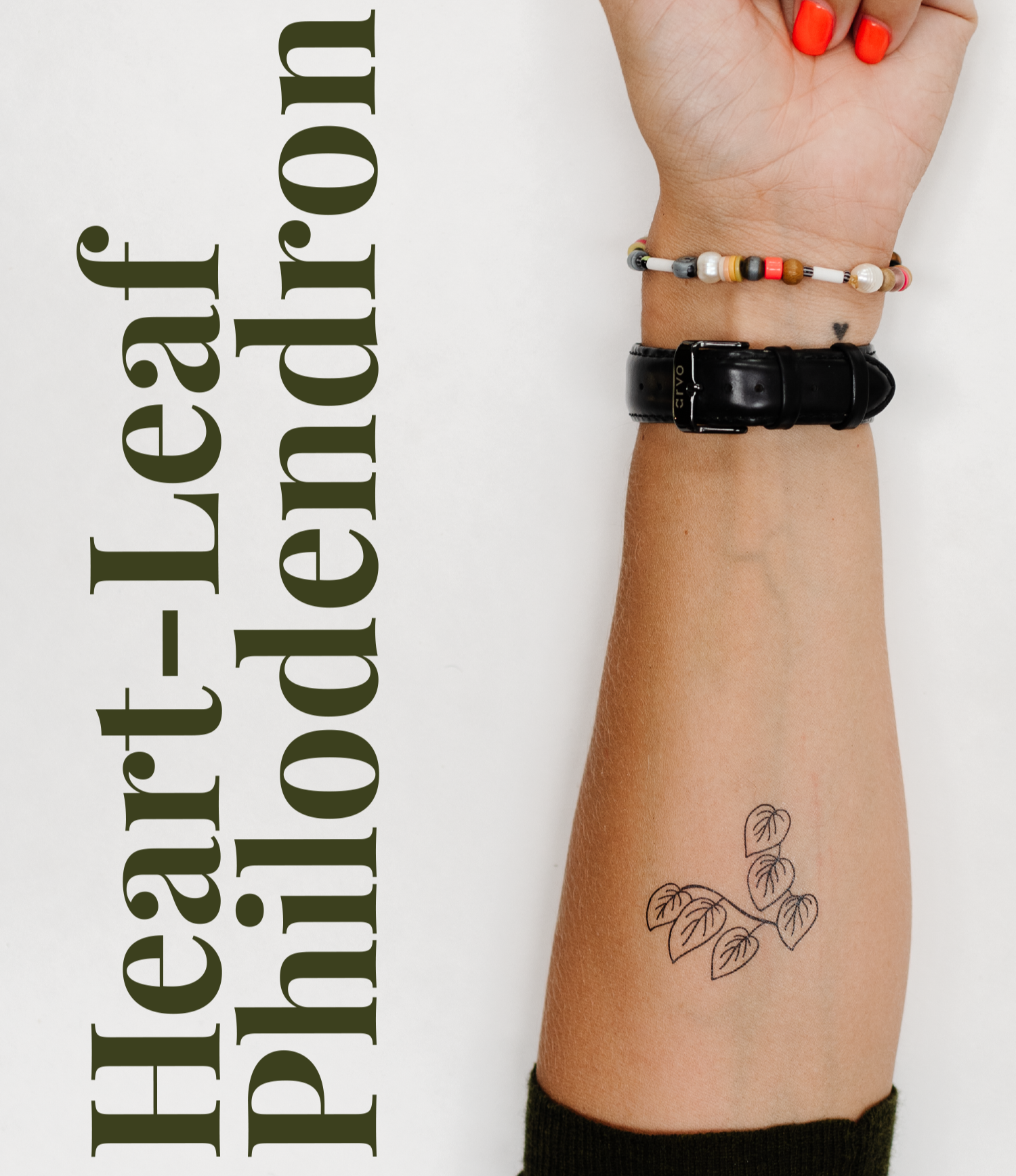 Happy Plant Tats Temporary Tattoos - Happy Happy Houseplant