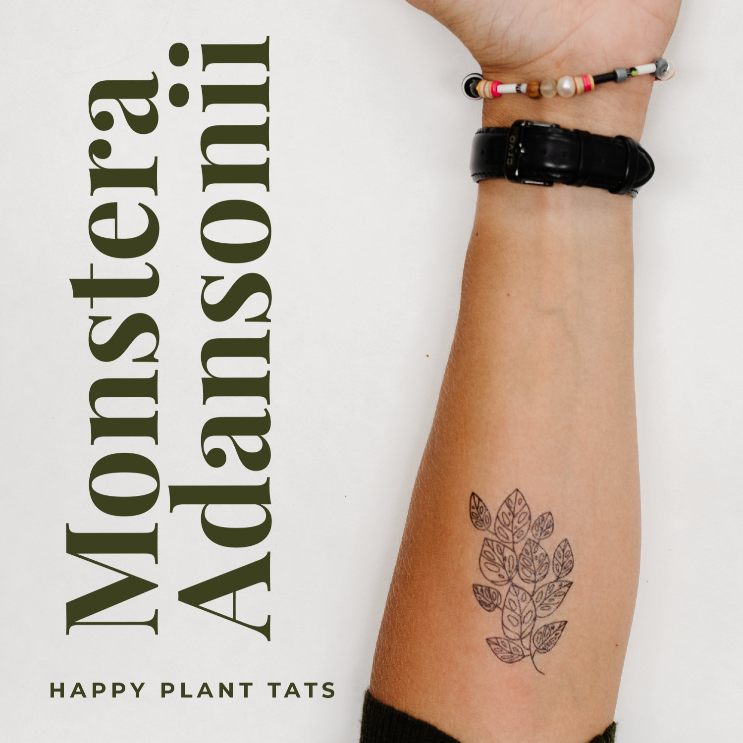 Happy Plant Tats Temporary Tattoos - Happy Happy Houseplant