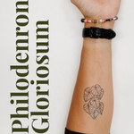 Happy Plant Tats Temporary Tattoos - Happy Happy Houseplant