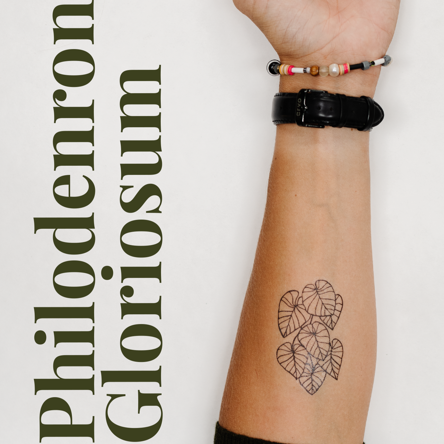 Happy Plant Tats Temporary Tattoos - Happy Happy Houseplant