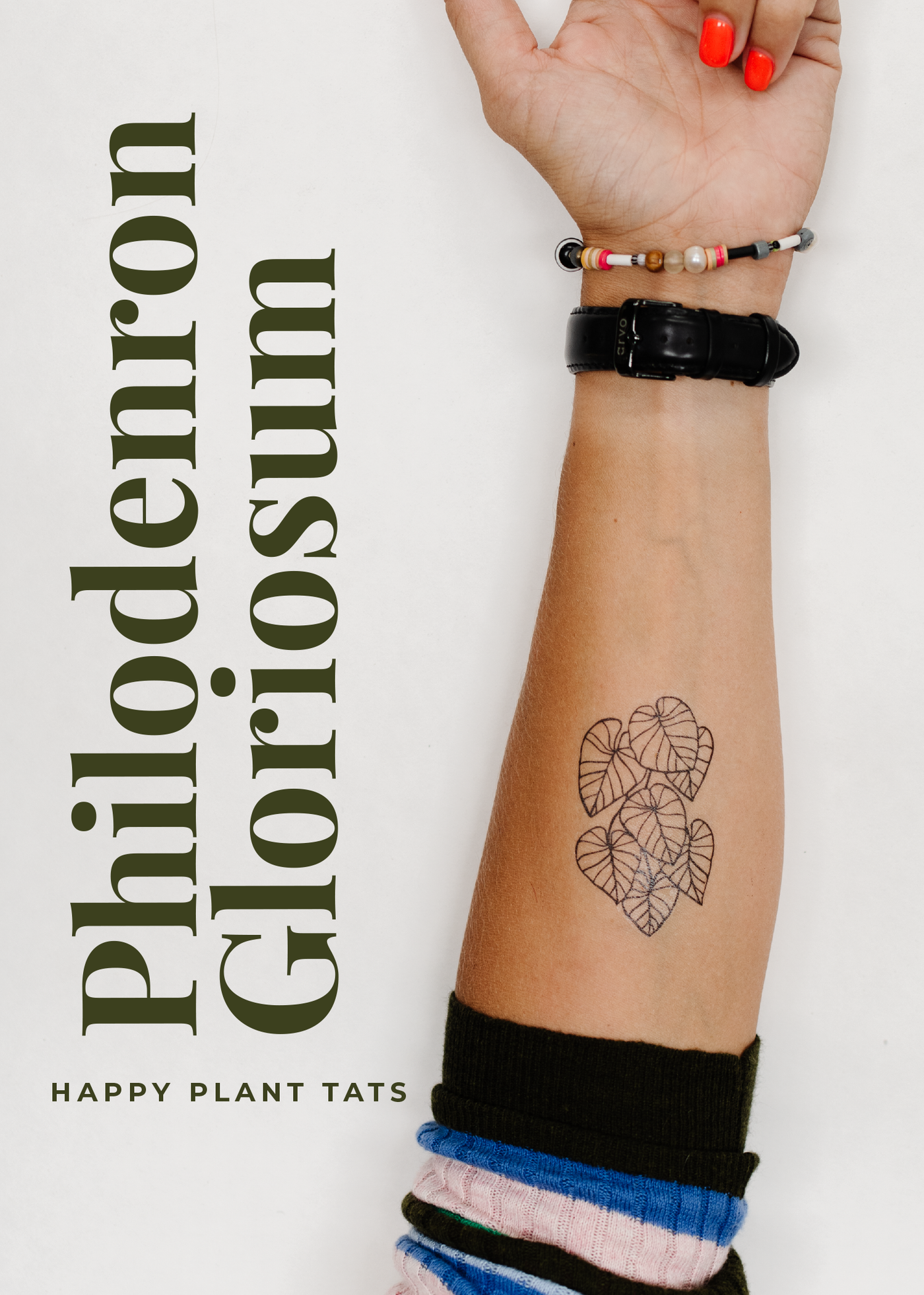 Happy Plant Tats Temporary Tattoos - Happy Happy Houseplant