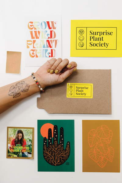 Gloriosum Surprise Plant Society Bundle - Happy Happy Houseplant