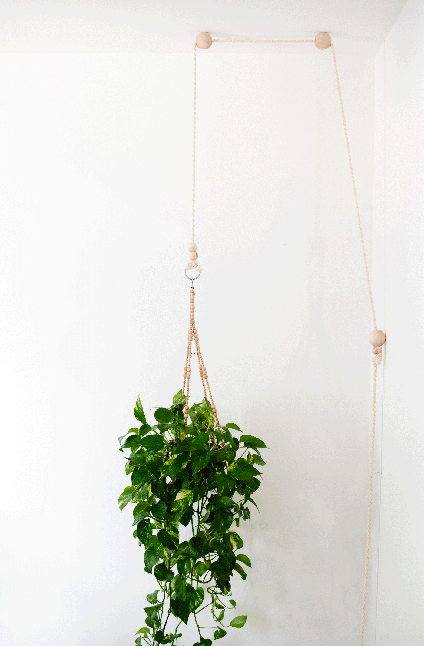 Modern Plant Pulley - Happy Happy Houseplant